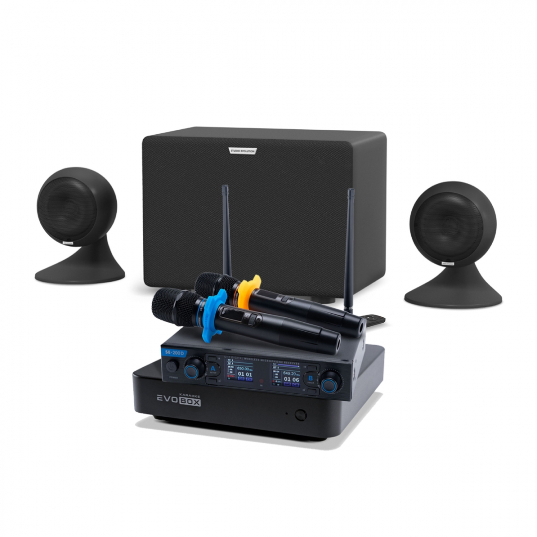 караоке-комплект EVOBOX + EvoSound Sphere 2.1 в Альметьевске