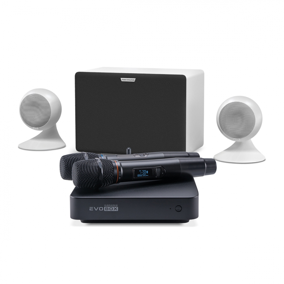 караоке-комплект EVOBOX Classic + EvoSound Sphere 2.1 в Альметьевске