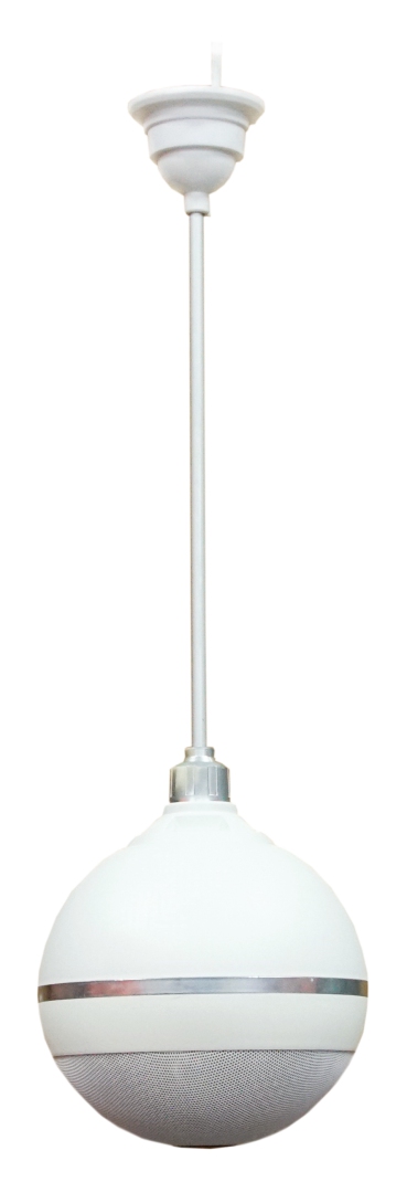 SVS Audiotechnik BWS-603 Громкоговоритель подвесной потолочный в Альметьевске