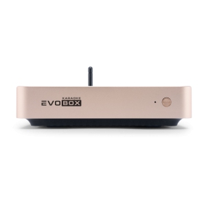 EVOBOX Classic караоке-система для дома в Альметьевске