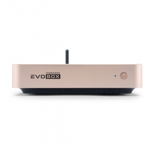 EVOBOX Plus караоке-система для дома в Альметьевске