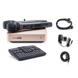EVOBOX Plus караоке-система для дома в Альметьевске