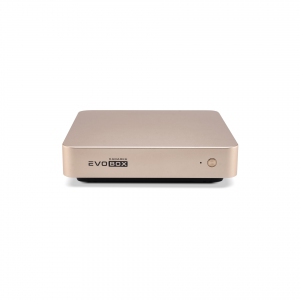 EVOBOX с микрофонами в Альметьевске
